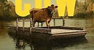 First Cow - Película - 2020 - Crítica | Reparto | Estreno | Duración | Sinopsis | Premios - decine21.com