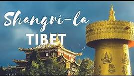 Journey to Amazing Shangri-la Tibet