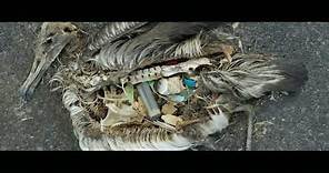 Plastic Pollution, our Oceans, our Future - #Film4Climate 3rd Prize Short Film Winner