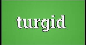 Turgid Meaning