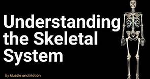Understanding the Skeletal System: Types and Functions of Bones