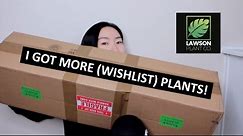 I Got More (Wishlist) Plants! Unboxing a HUGE Mystery Box from Lawson Plant Co.