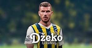 Edin Dzeko Skills & Goals - Beni Sev - Welcome To The Fenerbahçe
