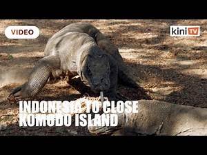 Indonesia to close Komodo island leaving guides, villagers in the lurch