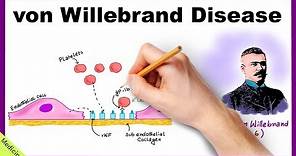 VON WILLEBRAND DISEASE: Pathophysiology, Clinical Findings, Diagnosis, Treatment