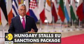 EU unity crumbling on Russian sanctions | Hungary delays oil ban over Putin's patriarch | WION
