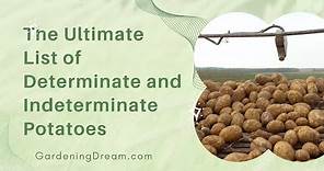 The Ultimate List of Determinate and Indeterminate Potatoes