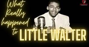 What happened to Little Walter? (Cadillac Records Movie)