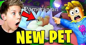 *LEAKED* NEW POMERANIAN PET AND STAR REWARDS UPDATE?! Adopt me!