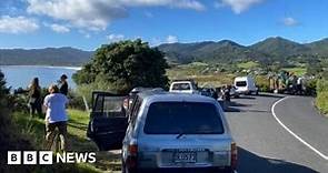 New Zealand earthquakes: Tsunami warnings lifted after evacuations