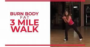 Burn Body Fat 3 Mile | Leslie Sansone's Walk at Home