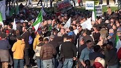 Италия: фермеры выступают против давления Брюсселя
