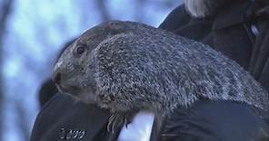 Punxsutawney Phil gives his winter weather forecast in Pa.