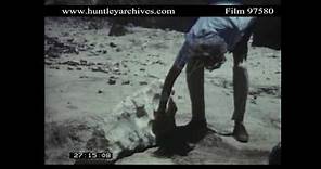 Archaeologist Mortimer Wheeler in the Hadhramaut, 1966. Archive film 97580