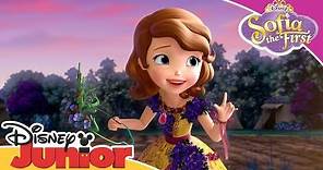 Sofia the First 👑| The Crown of Blossoms | Official Disney Channel Africa