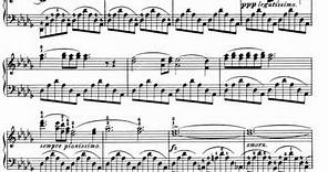 F. Chopin : Nocturne op. 9 no. 1 in B flat minor (Rubinstein)