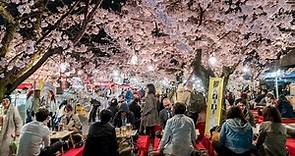 These are the best times to visit Japan