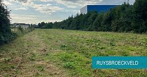 Sint-Pieters-Leeuw koopt 0,9 hectare van OCMW Brussel voor natuurpark Ruysbroecveld