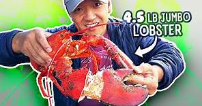 4.5 Pound JUMBO LOBSTER & Best SEAFOOD RESTAURANT in San Francisco