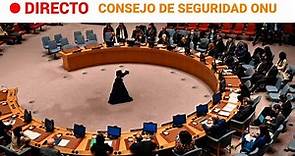 CONSEJO DE SEGURIDAD: "SERBIA NUNCA ACEPTARÁ ni VOTARÁ para que KOSOVO sea MIEMBRO de la ONU" | RTVE