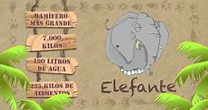 Las características del ELEFANTE