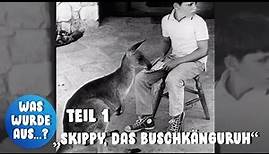 „Skippy, das Buschkänguruh“: Das machen die Stars heute – Teil 1 • PROMIPOOL