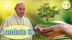 Why Care for the Environment? (Laudato Si Explained)