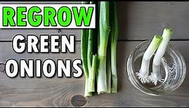 How To Regrow Green Onions...And Beyond!