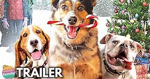PUPS ALONE (2021) Trailer 🐾 | Hilarious Dog Family Holiday Movie