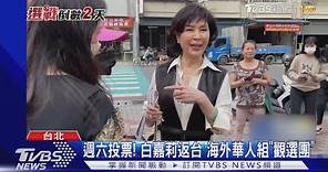 週六投票! 白嘉莉返台 海外華人組「觀選團」｜TVBS新聞 @TVBSNEWS01
