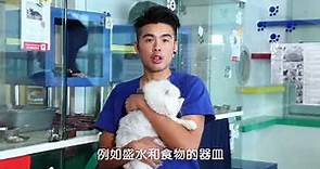 寵愛一生(2018)第二集- 香港愛護動物協會