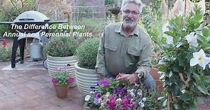 What is the Difference Between Annual and Perennial Plants