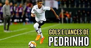 Gols, lances e dribles de Pedrinho, do Corinthians (2018)