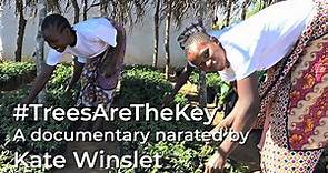 #TreesAreTheKey: narrated by Kate Winslet, a film by Tim Short