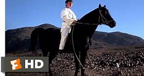 The Black Stallion Returns (1983) - You Are The One Rider Scene (8/12) | Movieclips
