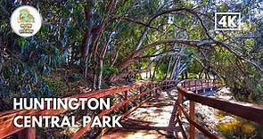 [4K] 🌳 Huntington Beach Central Park (West), California | Walking Tour