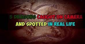 5 Dragons Caught On Camera & Spotted In Real Life!