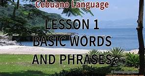 Learn Cebuano 500 Phrases for Beginners - Part 1 - Basic words and Phrases