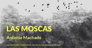 LAS MOSCAS | Un poema recitado de Antonio Machado