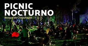 Picnic Nocturno en Chapultepec: Olvídate del estrés de la ciudad y cena bajo la luz de la luna