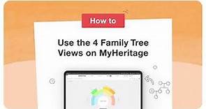 How to Use the 4 Family Tree Views on MyHeritage