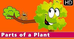 Parts of a Plant | Learn about Plants | Animation Nursery Rhymes