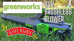 Greenworks Blower: Costco's New Lawn Tool