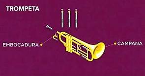 Historia y Partes de la trompeta