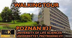 ⁴ᴷ⁶⁰ 🇵🇱 Poznan/Poland Walking Tour - #37 - University of Life Sciences (July 2021) [4K]