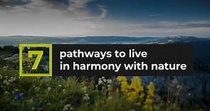 7 Pathways to live in harmony with nature