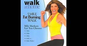 Leslie Sansone Walk at Home - 5 Mile Fat Burning Walk 2008
