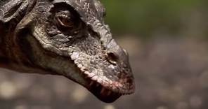 Hunting with a T-Rex | Walking with Dinosaurs in HQ | BBC Earth