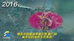 卫星视角看黄河三角洲国家级自然保护区十年变化