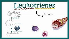 Leukotrienes || structure , function and association with disease